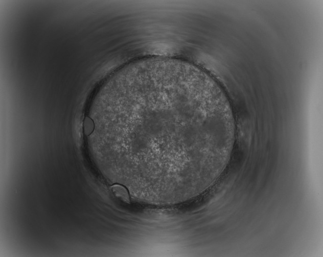 X0000089830679200707121641