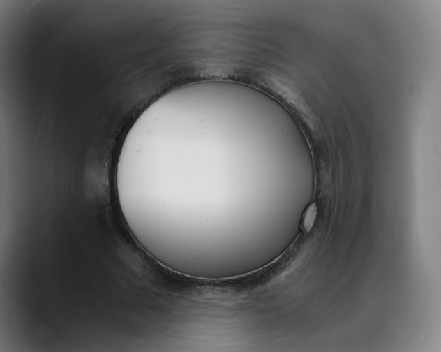 X0000089830681200707121641