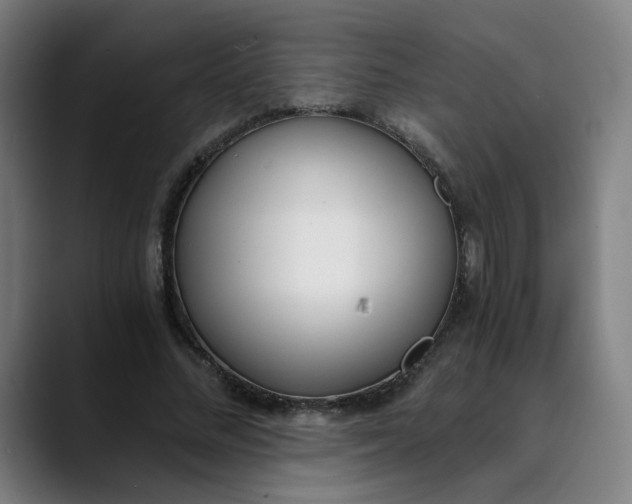 X0000089830684200707121641