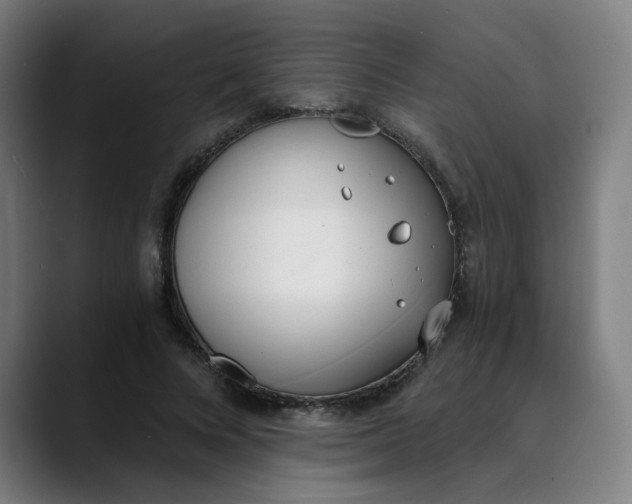 X0000089830688200707121641