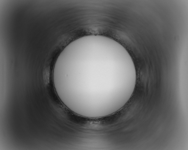 X0000089830694200707121641