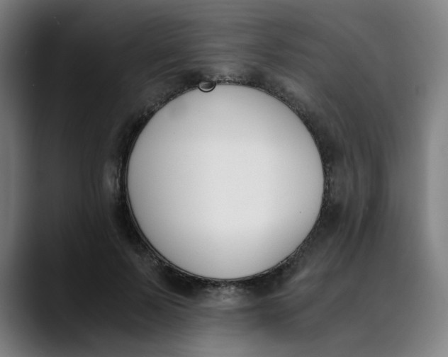 X0000089830695200707121641