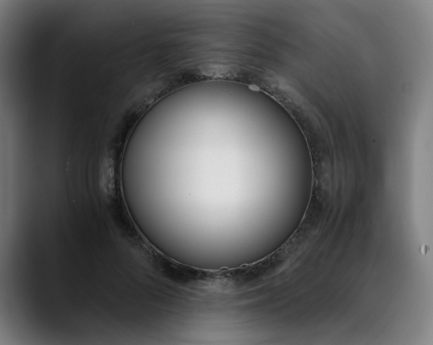 X0000089830696200707121641