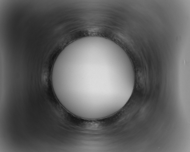 X0000089830698200707121641