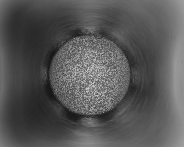 X0000089830699200707121641