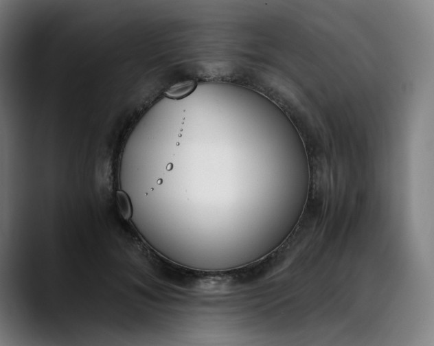 X0000089830700200707121641