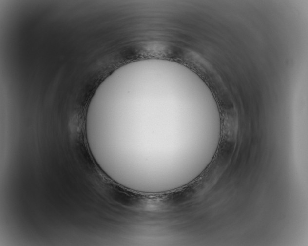 X0000089830701200707121641