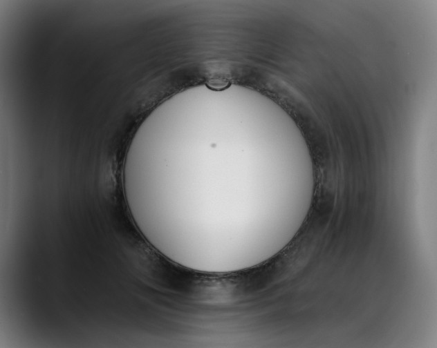 X0000089830702200707121641