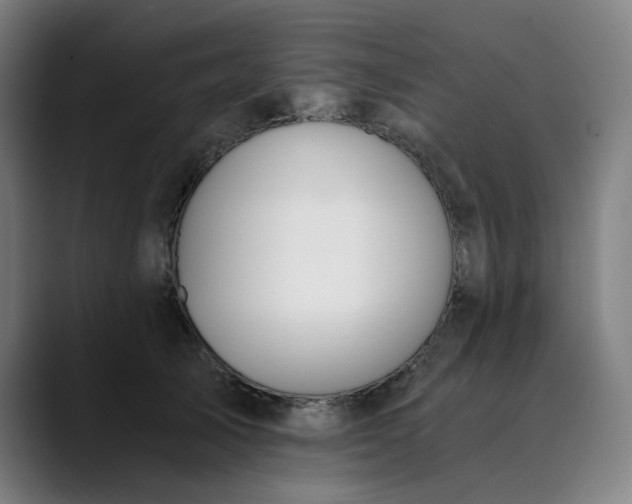 X0000089830705200707121641