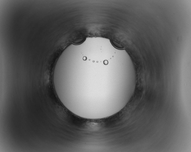 X0000089830706200707121641