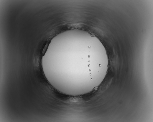 X0000089830708200707121641