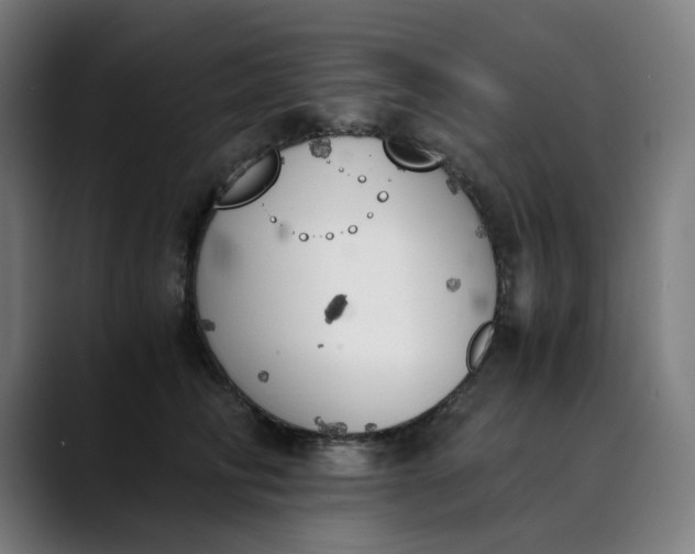 X0000089830710200707121641