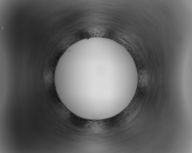 X0000089830713200707121641