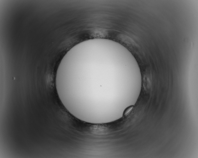 X0000089830714200707121641