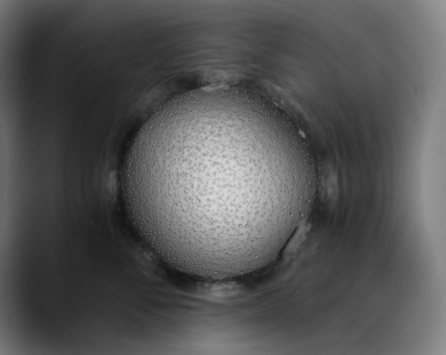 X0000089830716200707121641