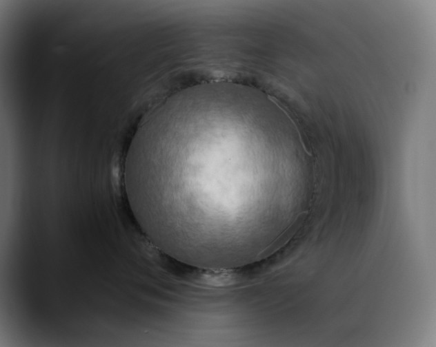 X0000089830720200707121641