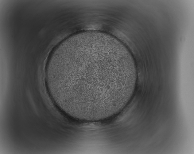 X0000089830721200707121640