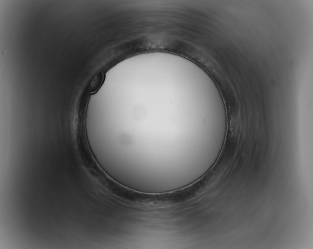 X0000089830722200707121640