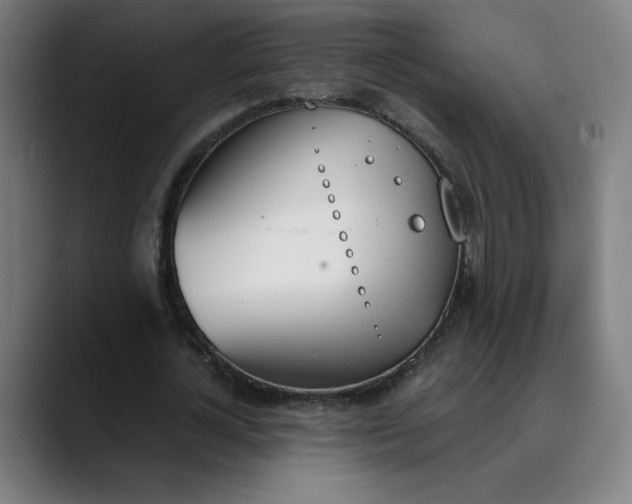 X0000089830724200707121640