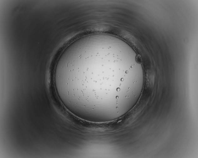 X0000089830726200707121640