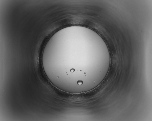 X0000089830727200707121640