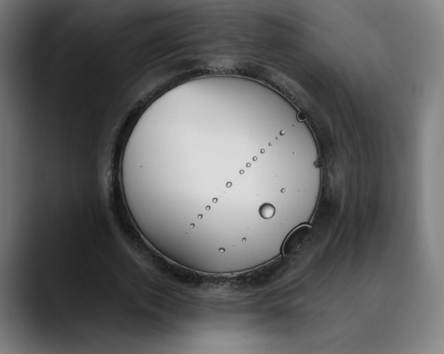 X0000089830728200707121640