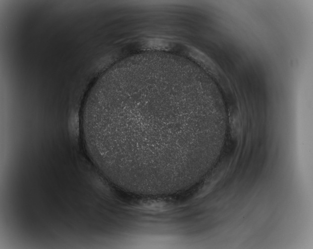 X0000089830729200707121640