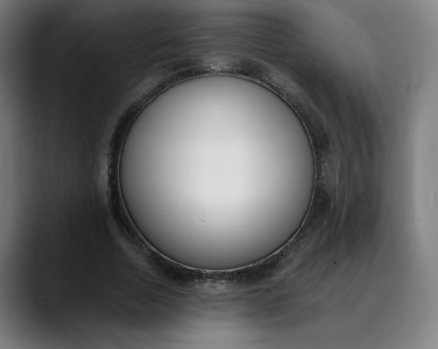 X0000089830730200707121640