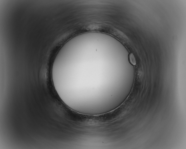 X0000089830732200707121640