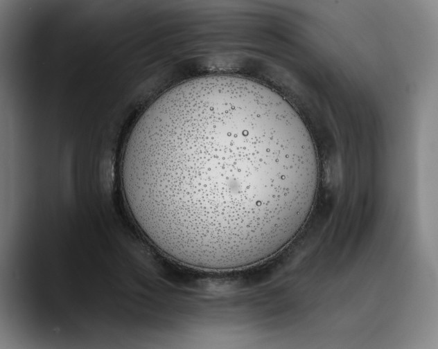 X0000089830733200707121640