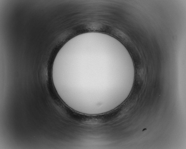 X0000089830734200707121640