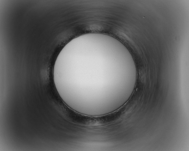 X0000089830735200707121640