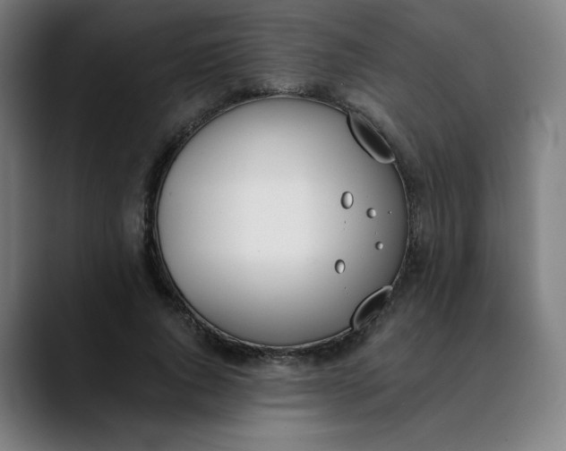 X0000089830736200707121640