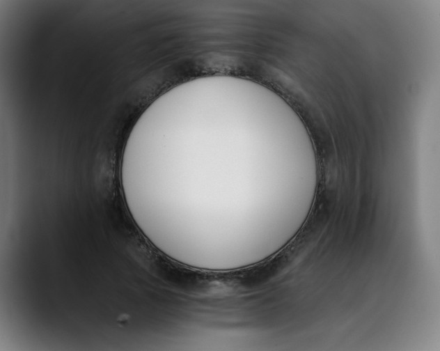 X0000089830737200707121640