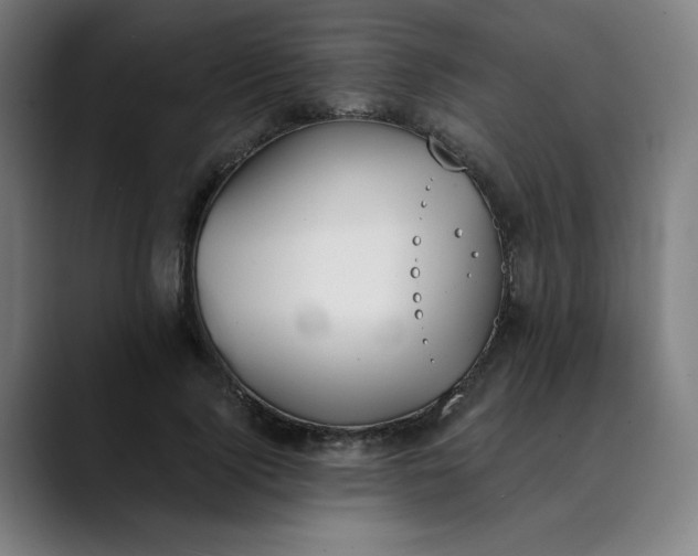 X0000089830740200707121640