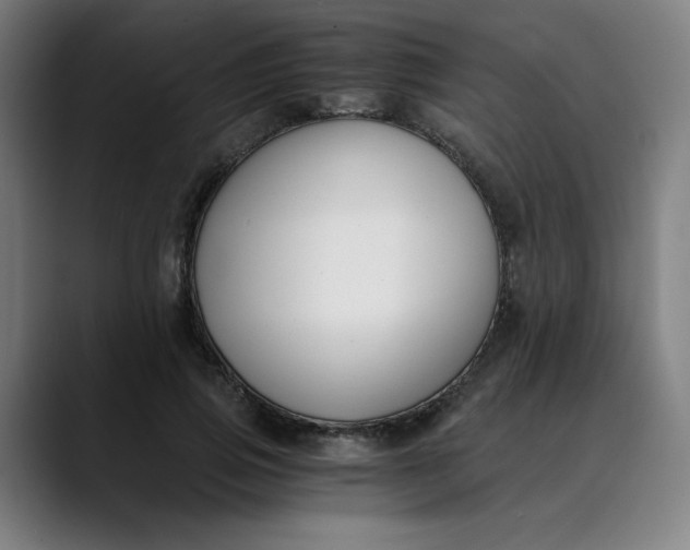 X0000089830741200707121640