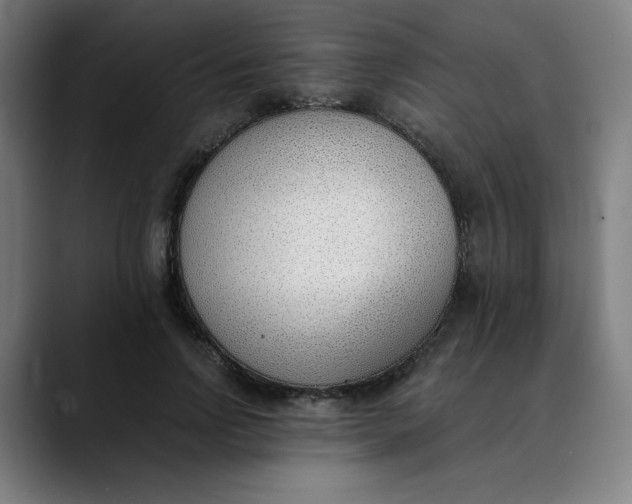 X0000089830742200707121640