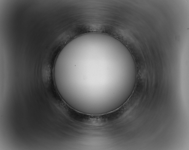 X0000089830744200707121640