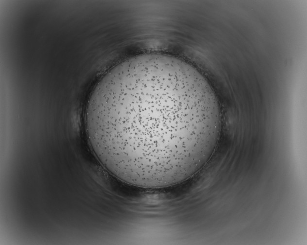 X0000089830746200707121640