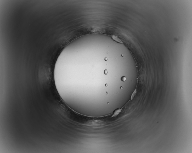 X0000089830748200707121640