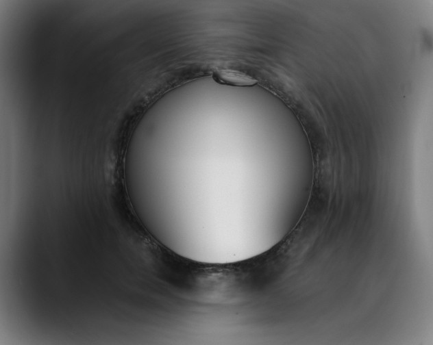 X0000089830750200707121640