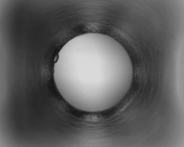 X0000089830751200707121640