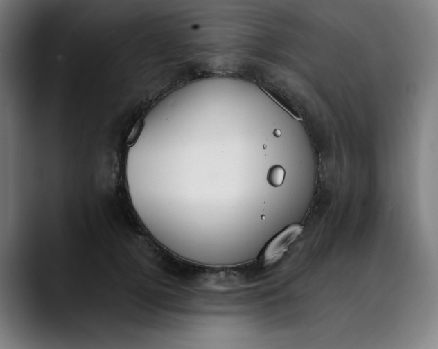 X0000089830752200707121640