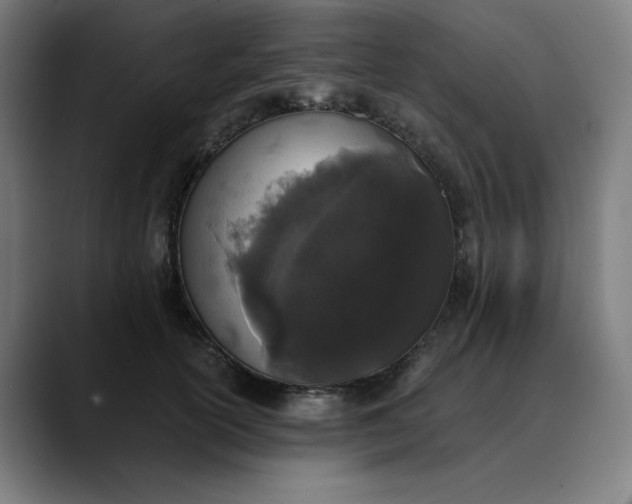 X0000089830754200707121640