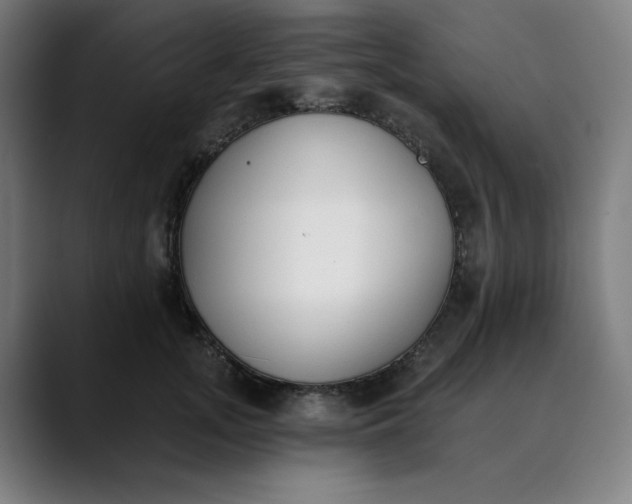 X0000089830755200707121640