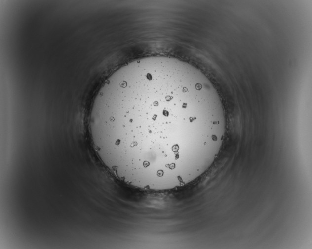 X0000089830757200707121640