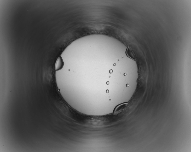 X0000089830758200707121640