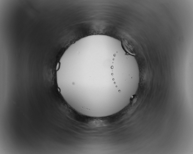 X0000089830759200707121640