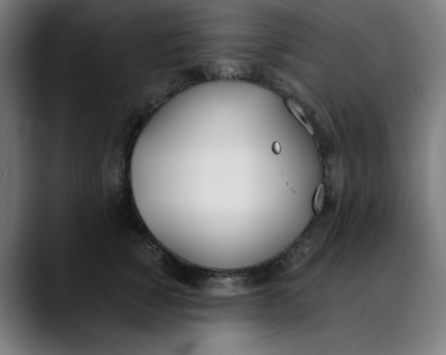 X0000089830760200707121640