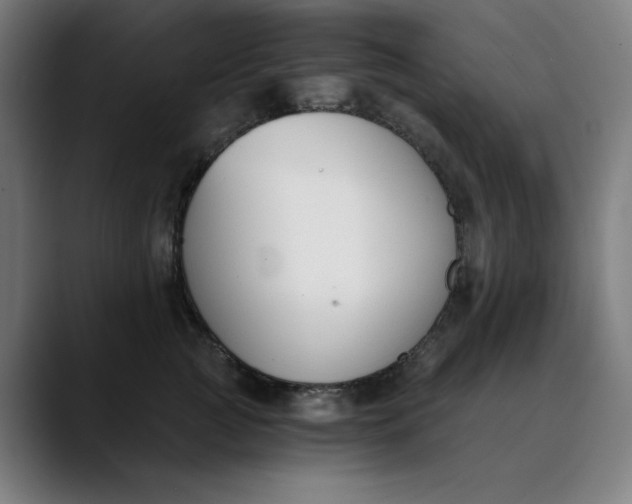 X0000089830761200707121640